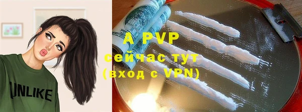 молекула духа Гусиноозёрск