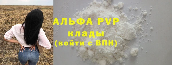 ECSTASY Гусь-Хрустальный