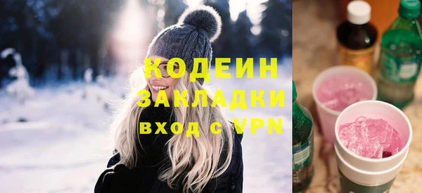 ECSTASY Гусь-Хрустальный