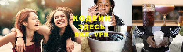 ECSTASY Гусь-Хрустальный