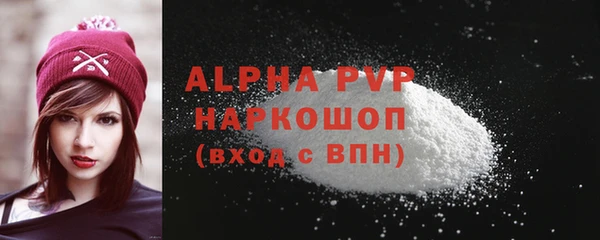 ECSTASY Гусь-Хрустальный