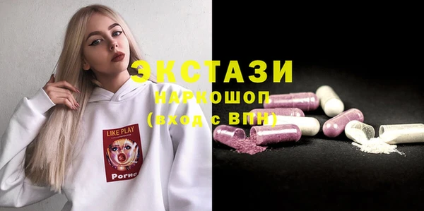 ECSTASY Гусь-Хрустальный