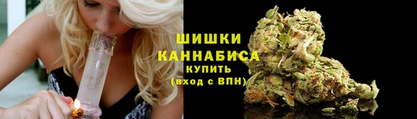 ECSTASY Гусь-Хрустальный