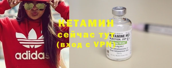 ECSTASY Гусь-Хрустальный