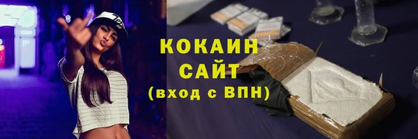 ECSTASY Гусь-Хрустальный
