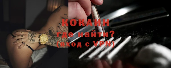 кокс Гусев