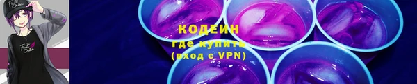 молекула духа Гусиноозёрск