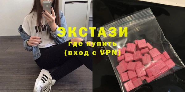 ECSTASY Гусь-Хрустальный