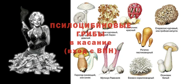 кокс Гусев