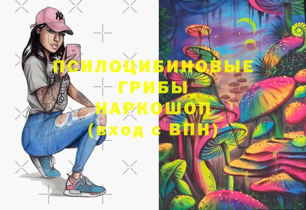молекула духа Гусиноозёрск
