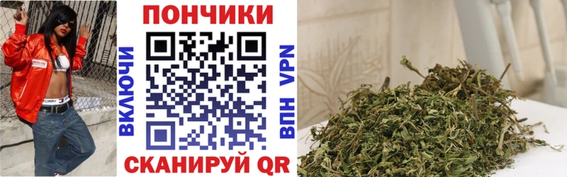 кракен как войти  Майкоп  МАРИХУАНА план 
